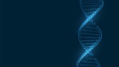 Как ученые из Гарварда нашли ген долголетия и что из этого получилось