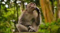 Испытание для интеллекта: реальный вопрос из элитарного клуба, с которым не справились знатоки