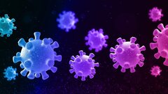 Уникальные нанодиски могут стать основой вакцины против Эболы и ВИЧ