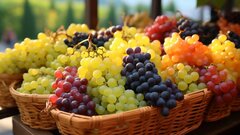 Виноград защищает кожу от повреждения ультрафиолетом: доказано учеными