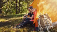 Делает ли запах сосны нас умнее? Ученые дали ответ