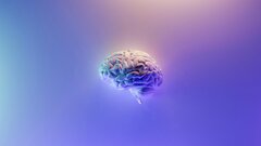 Как работает ваша память? Проверьте за 2 минуты
