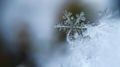 Механизм образования льда до сих пор оставался загадкой: что выяснили ученые