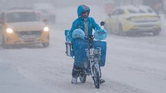 В России предложили ввести аналог ОСАГО для курьеров