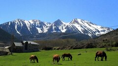 Радиоуглеродное датирование подтвердило 10 000 лет присутствия людей в Пиренеях
