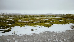 Ученые показали вклад термокарстовых озер в глобальные выбросы метана