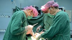Могут ли раны заживать без рубцов: ответ российских ученых