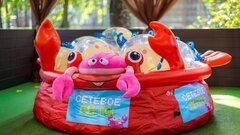 Как прошел опен-эйр для сетевых специалистов «Сетевое лето» в Москве