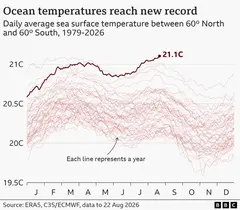 Средняя ежедневная температура от 60° северной до 60° южной широты. Каждая линия обзоначает отдельный год.