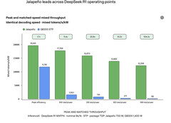 DeepSeek R1 670B